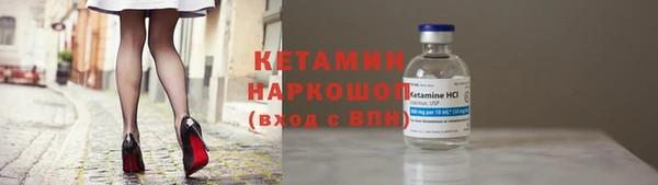 сатива Новокубанск