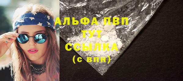 сатива Новокубанск