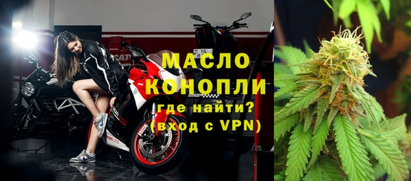 сатива Новокубанск
