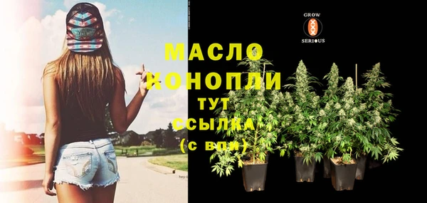 молекула духа Новодвинск