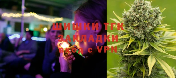 молекула духа Новодвинск