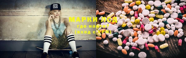 сатива Новокубанск