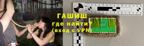 сатива Новокубанск
