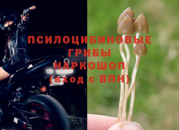 PSILOCYBIN Вязники