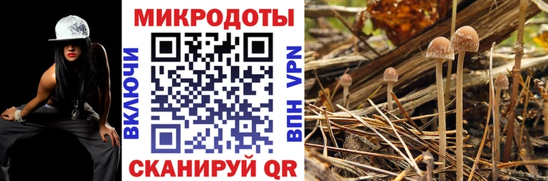 Галлюциногенные грибы Magic Shrooms  Костомукша 