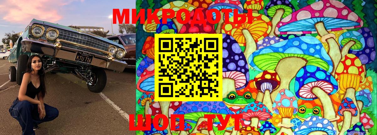 Галлюциногенные грибы GOLDEN TEACHER Костомукша