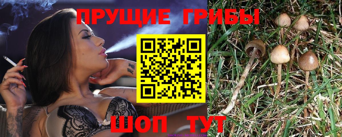Галлюциногенные грибы мицелий Костомукша
