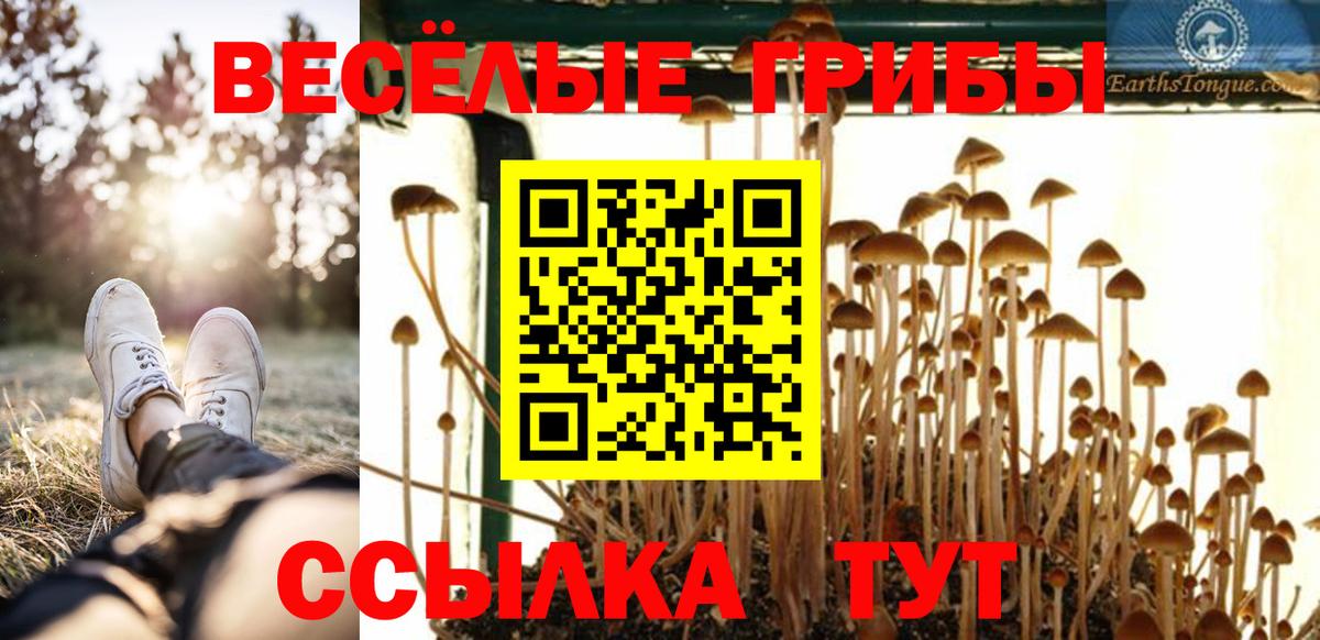 Галлюциногенные грибы прущие грибы  Костомукша  где купить наркоту  Псилоцибиновые грибы Psilocybine cubensis 